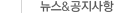 뉴스&공지사항